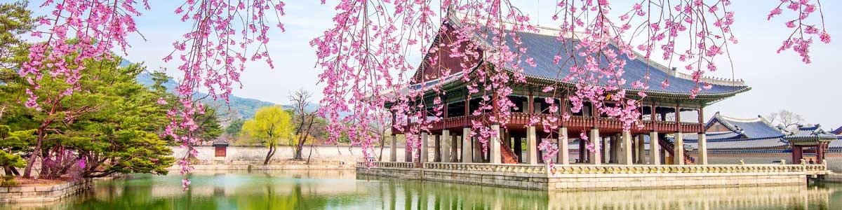 Seul & Japão | Saída 27 de Março 2027