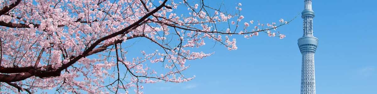 Japão Tradicional | Saída 20 de Março 2027