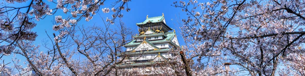 Japão Quatro Estações Sakura | Saída 22 de Março 2027