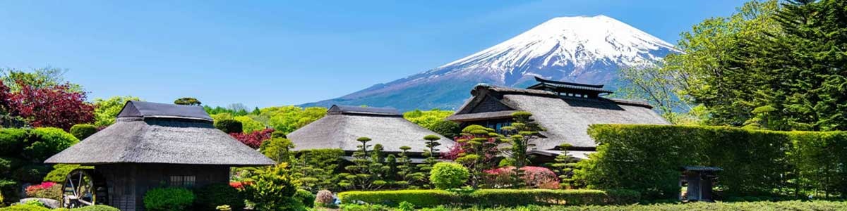 Japão Quatro Estações Sakura | Saída Confirmada 27 de Março 2027