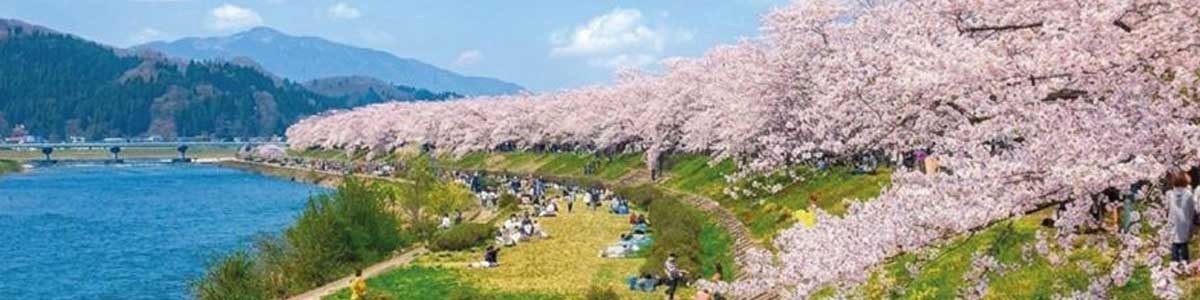 Encantos do Norte do Japão Sakura | Saída 17 de Abril 2027