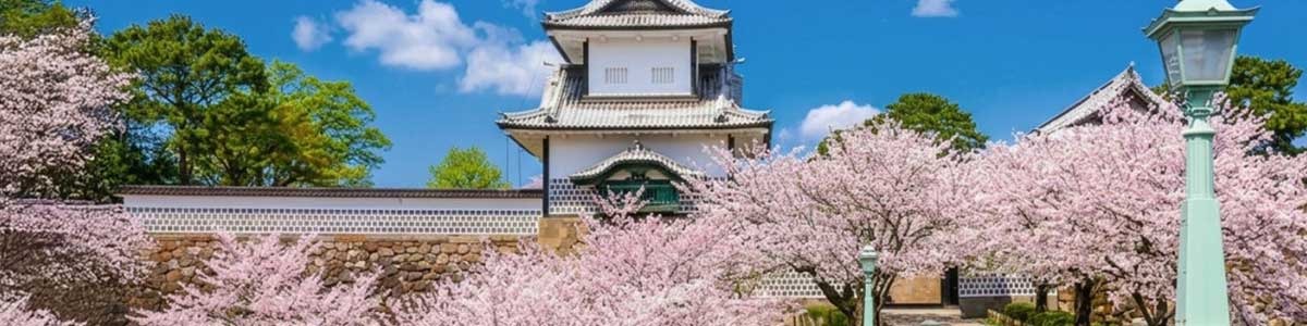 Japão Quatro Estações Sakura | Saída Confirmada 25 de Março 2027